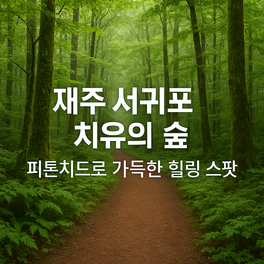 6월 국내여행 추천 BEST 7｜초여름 피서지 완벽 가이드