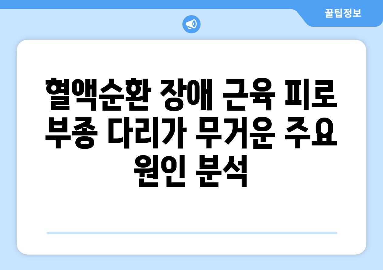 혈액순환 장애 근육 피로 부종 다리가 무거운 주요 원인 분석