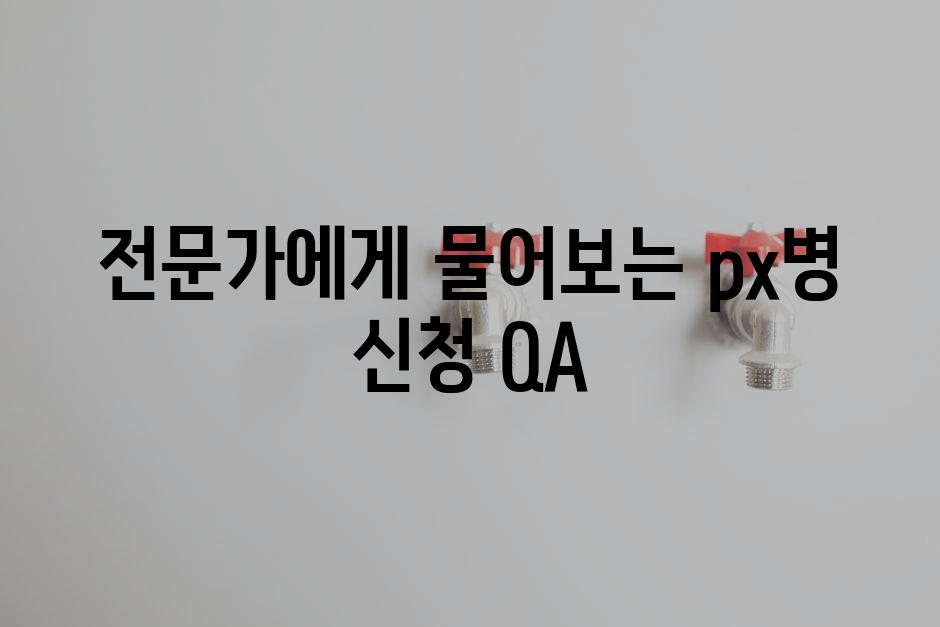 전문가에게 물어보는 px병 신청 QA