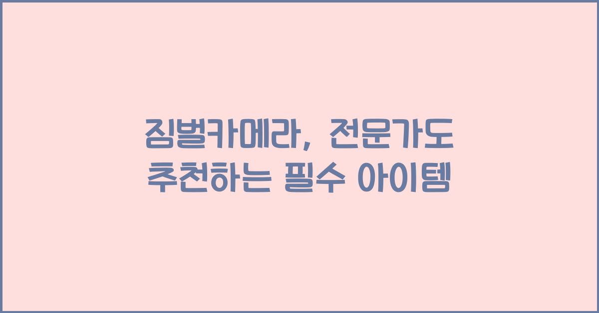 짐벌카메라