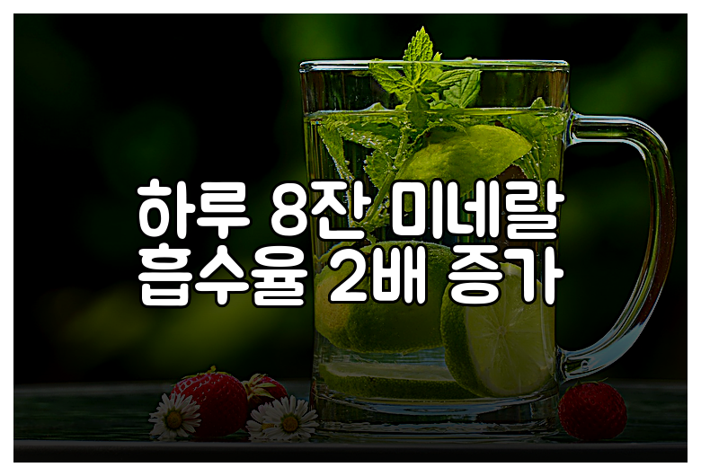 하루 8잔 미네랄 흡수율 2배 증가