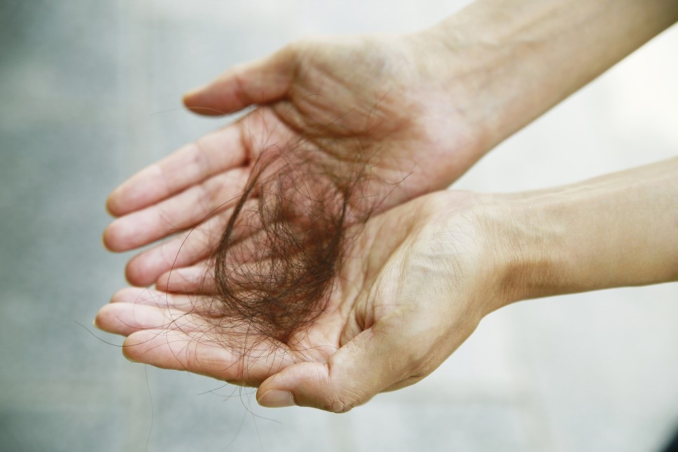 김치 칼로리 파김치효능 부작용, 3