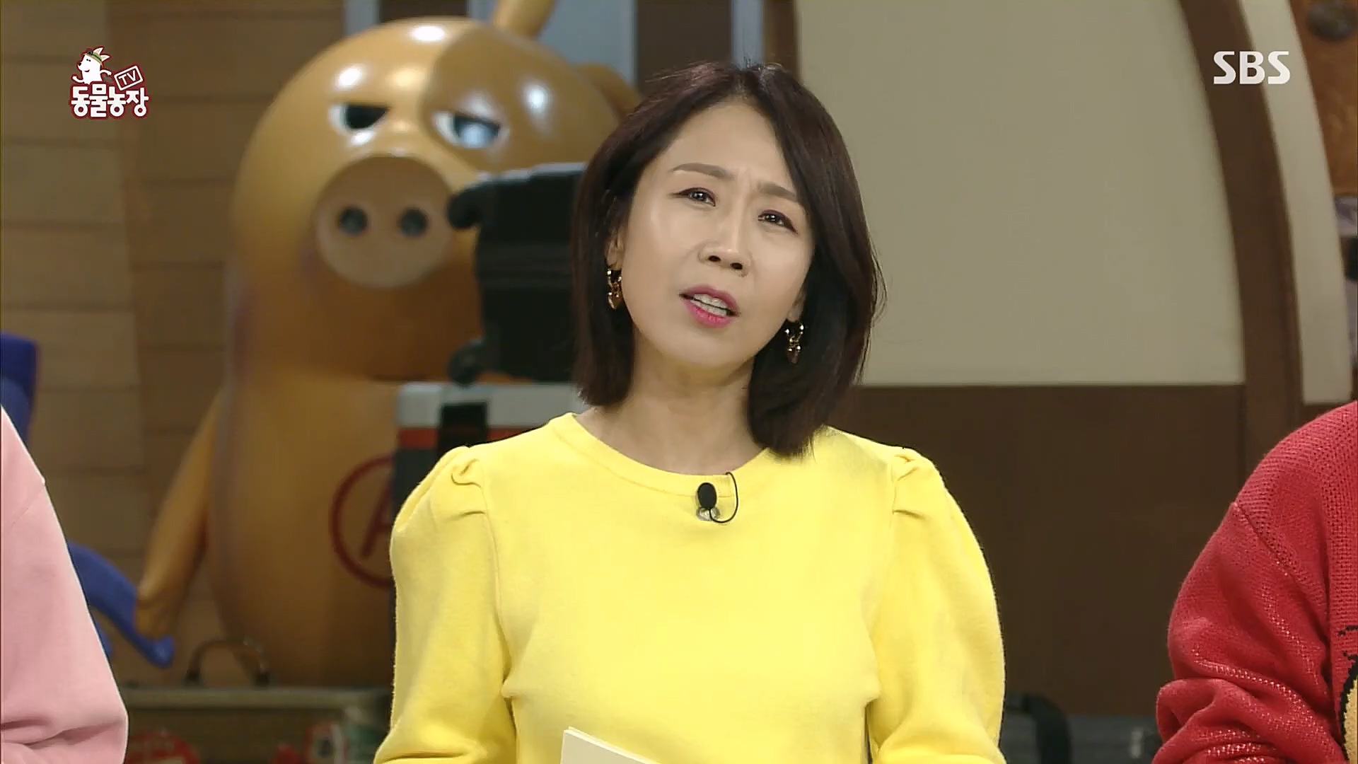 TV 동물농장.E1104.230115p.H264-F1RST.mp4_20230115_173155.294.jpg