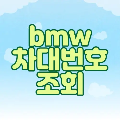 bmw 차대번호 조회