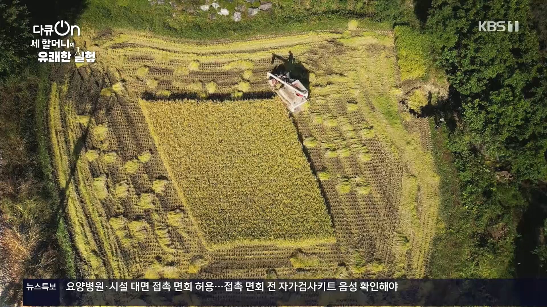 다큐 On.E166.221028p.H264-F1RST.mp4_20221031_194409.462.jpg