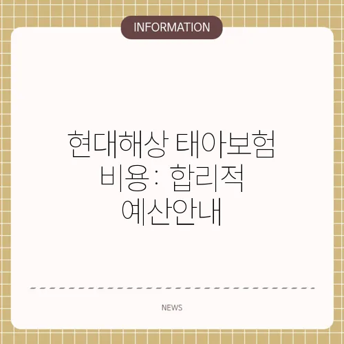 현대해상 태아보험 비용: 합리적 예산안내