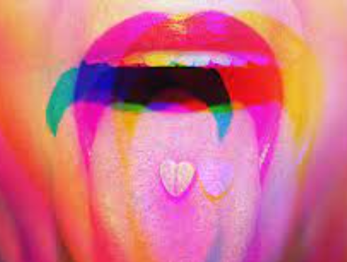 LSD 관련사진