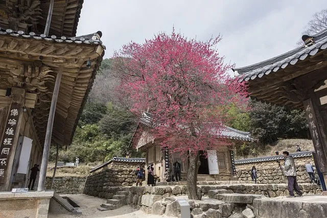 화엄경 이란 해석 독해 구절_7
