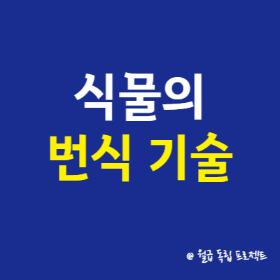 식물 육종 기술