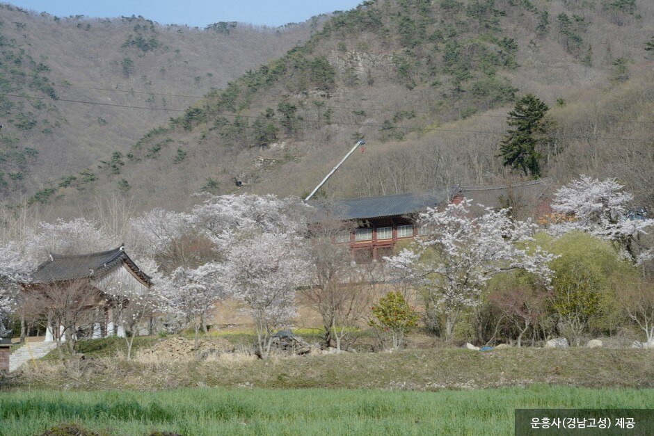 운흥사