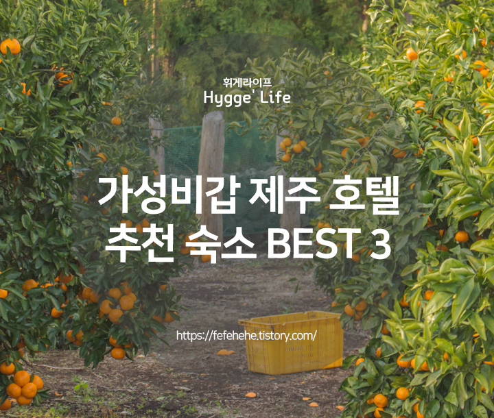  가성비 그라벨 호텔 제주 외 2곳 추천 BEST 3