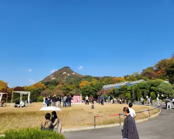 청와대 관람 신청_15