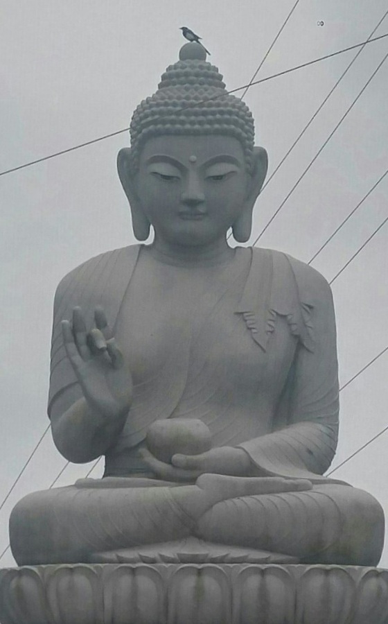 img.jpg