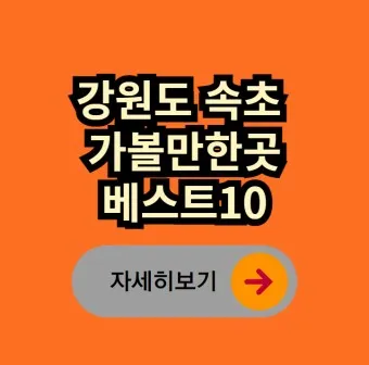 강원도 가볼만한곳 베스트10_4