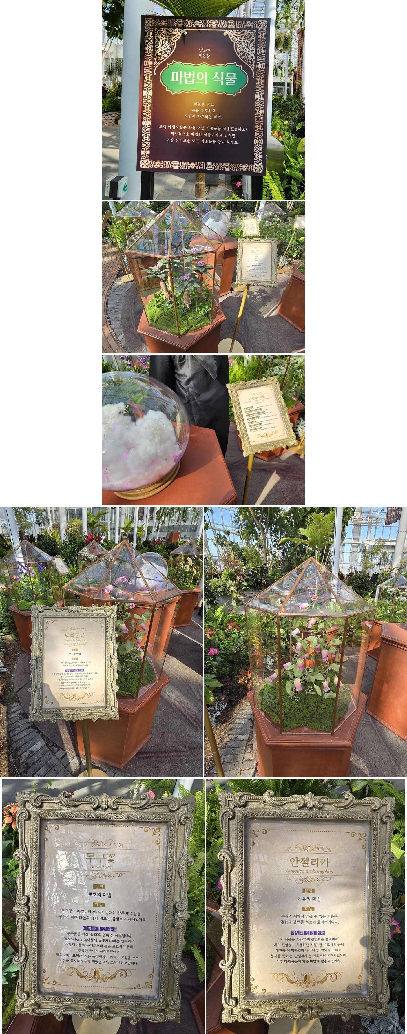 특별전시온실-해리포터-마법의-식물들-사진