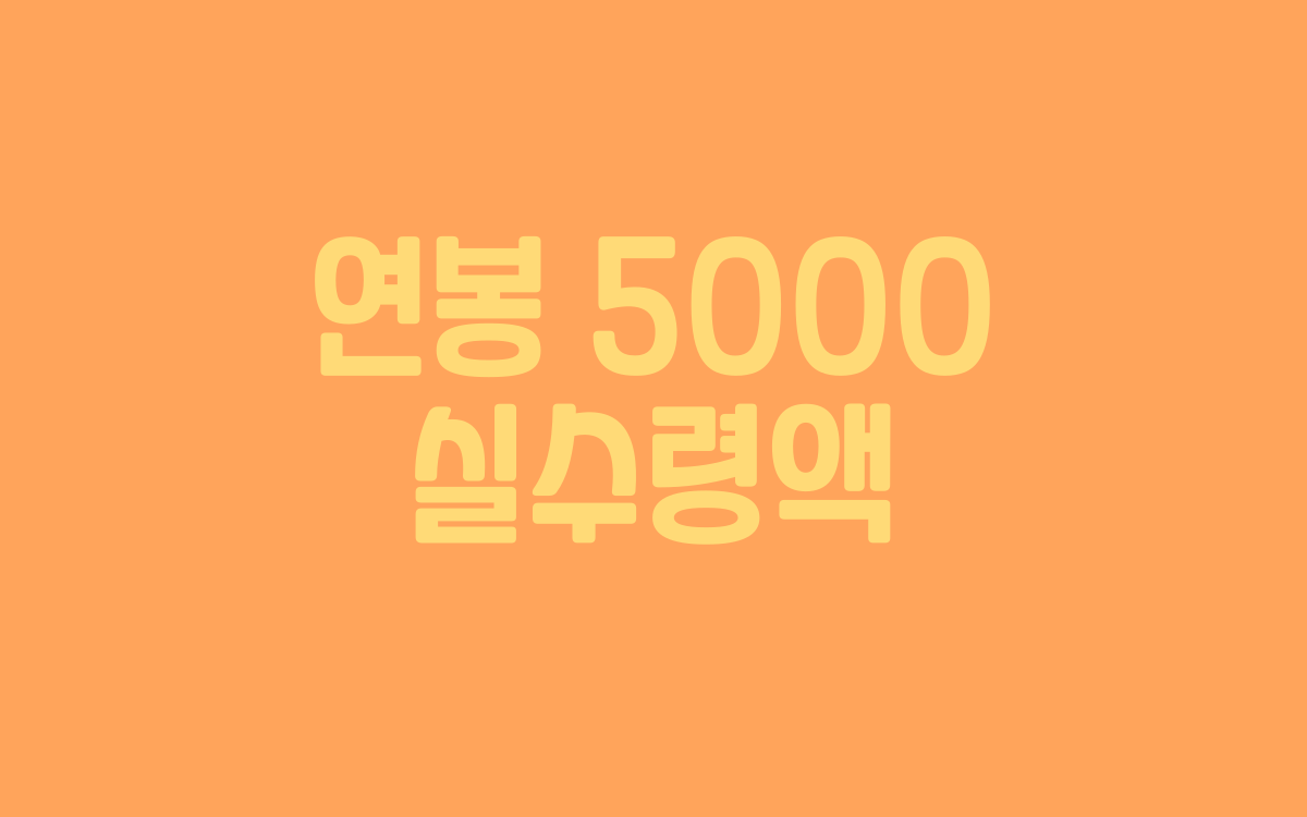  연봉 5000 실수령액은 어느정도?