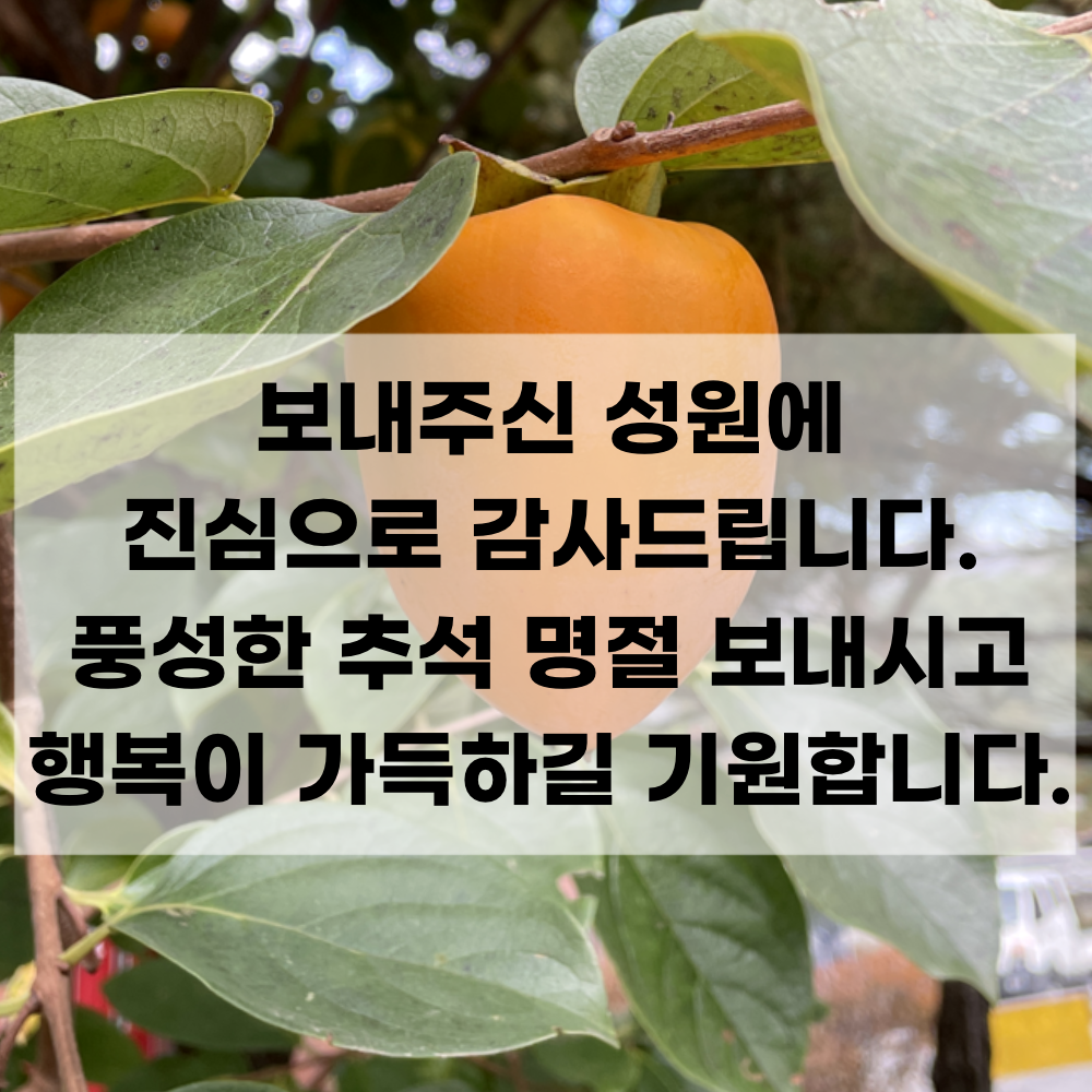 거래처 고객 추석 인사말 문자 이미지