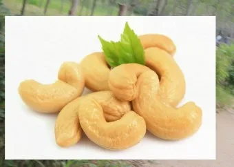 캐슈넛 효능 칼로리 섭취량_8