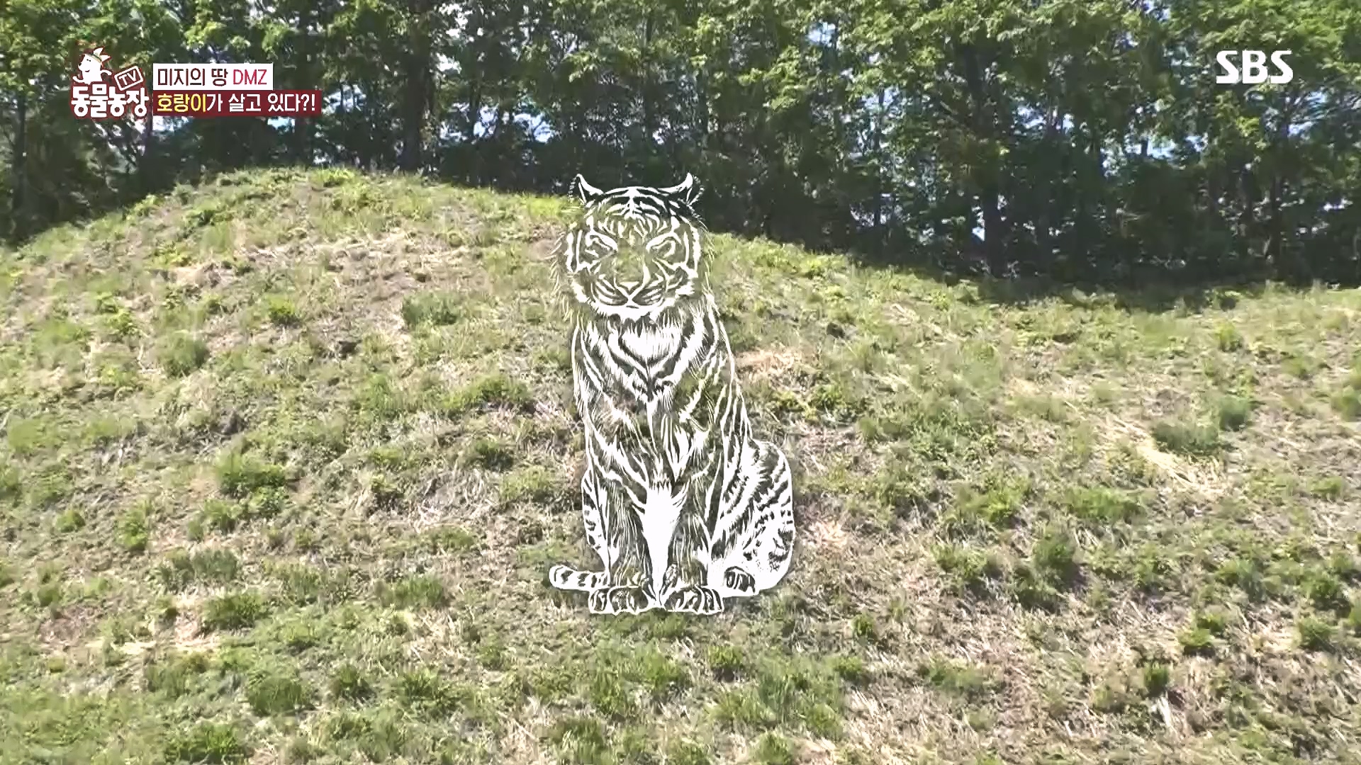 TV 동물농장.E1185.240818p.H264-F1RST.mp4_20240818_161608.411.jpg