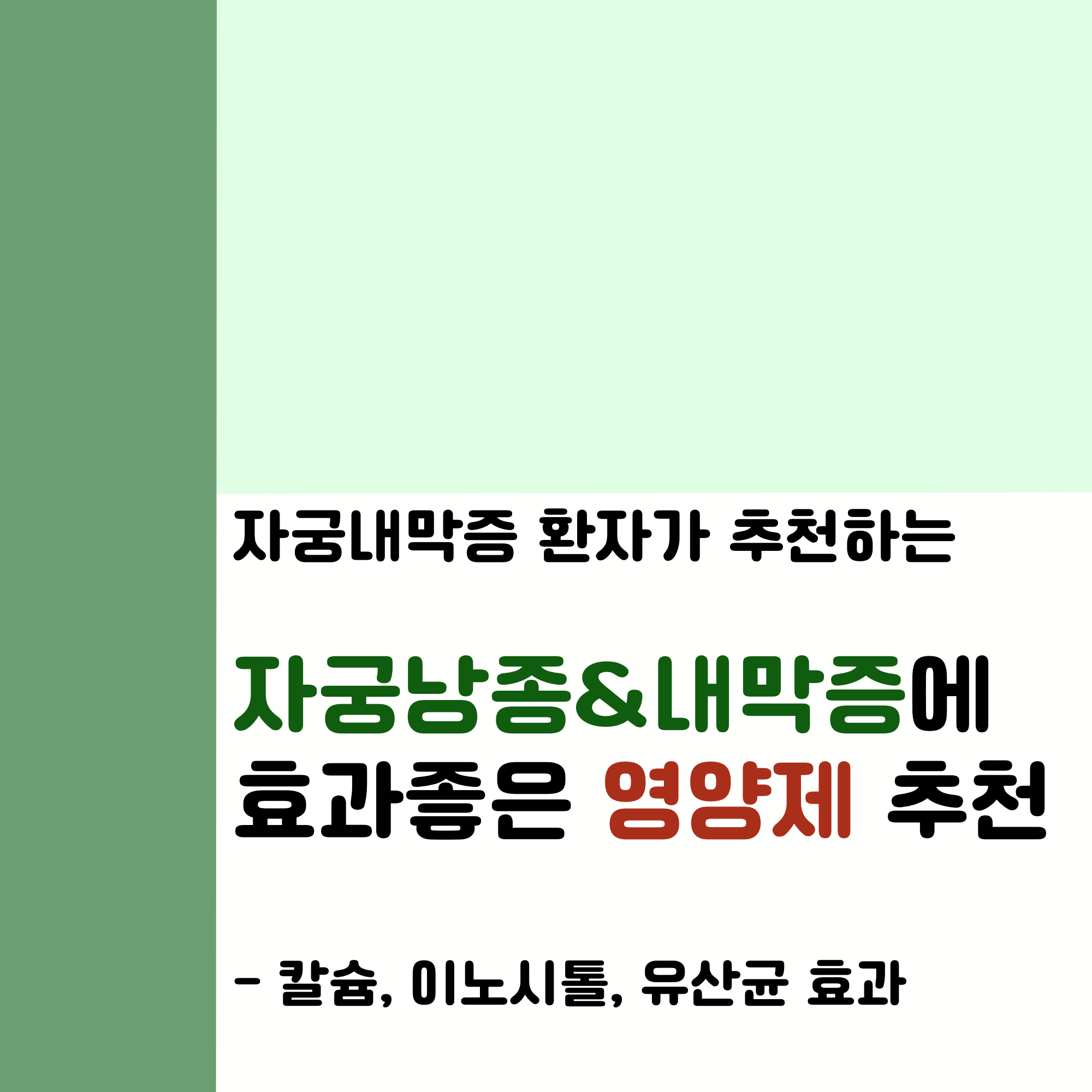 자궁내막증에 좋은 영양제 추천+이유_내돈내산후기