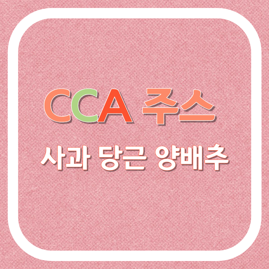 CCA주스 만들기