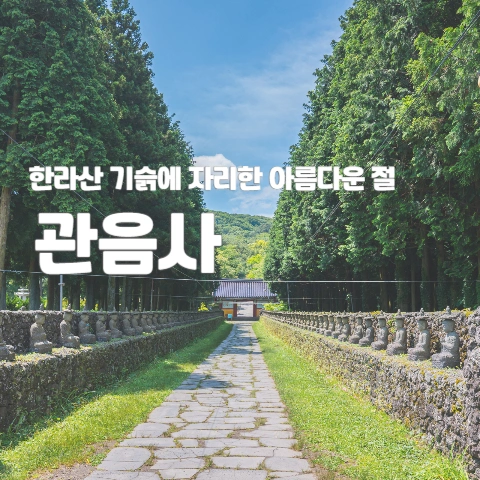  한라산 기슭에 자리한 아름다운 절 "관음사"