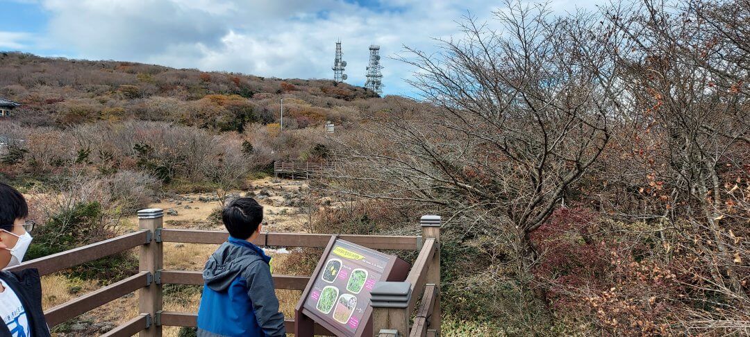 람사르습지-통신시설-전망