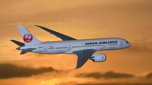 일본 항공기 날아가는 모습