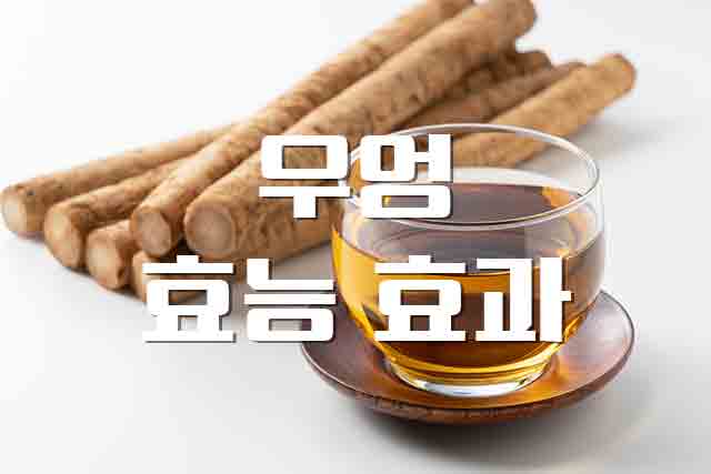  우엉, 대장 기능과 혈당에 좋은 우엉 알아보기
