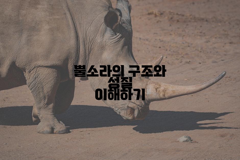 뿔소라의 구조와 성질 이해하기