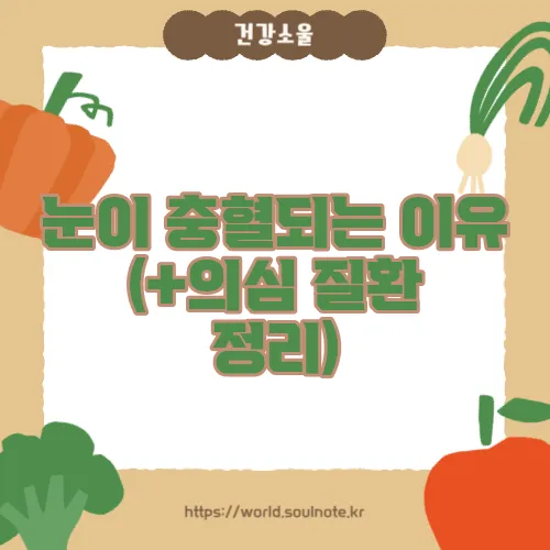눈이 충혈되는 이유 (+의심 질환 정리)