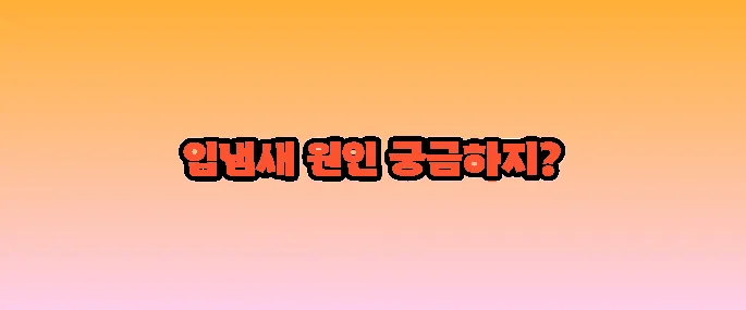 입냄새가 심한 이유