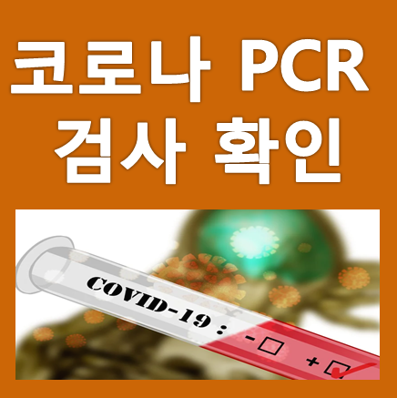 PCR 검사 방법