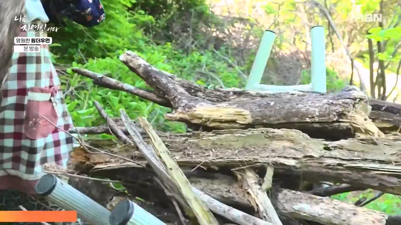 나는 자연인이다.E606.240523p-NEXT.mp4_20240523_195545.648.jpg