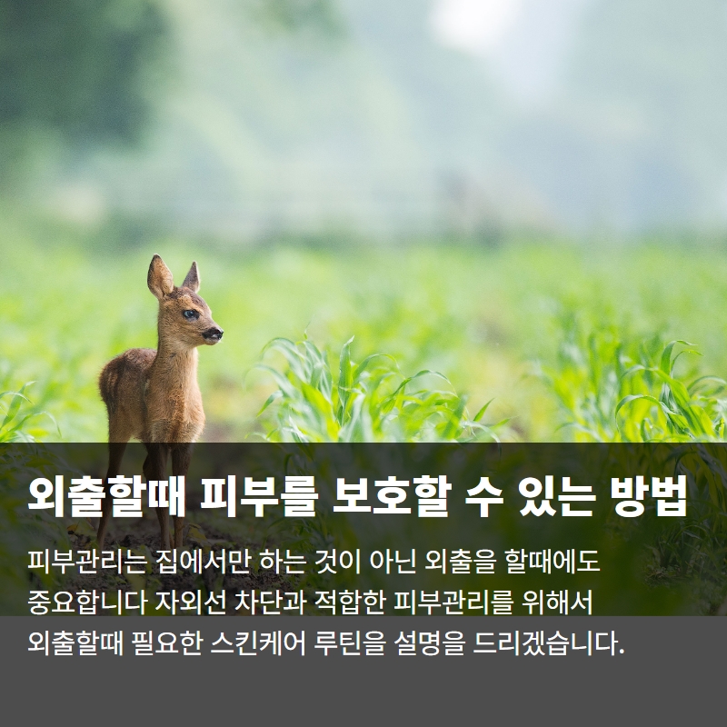  외출할때 피부를 보호하는 방법