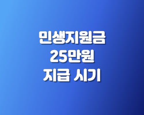 민생지원금 25만원