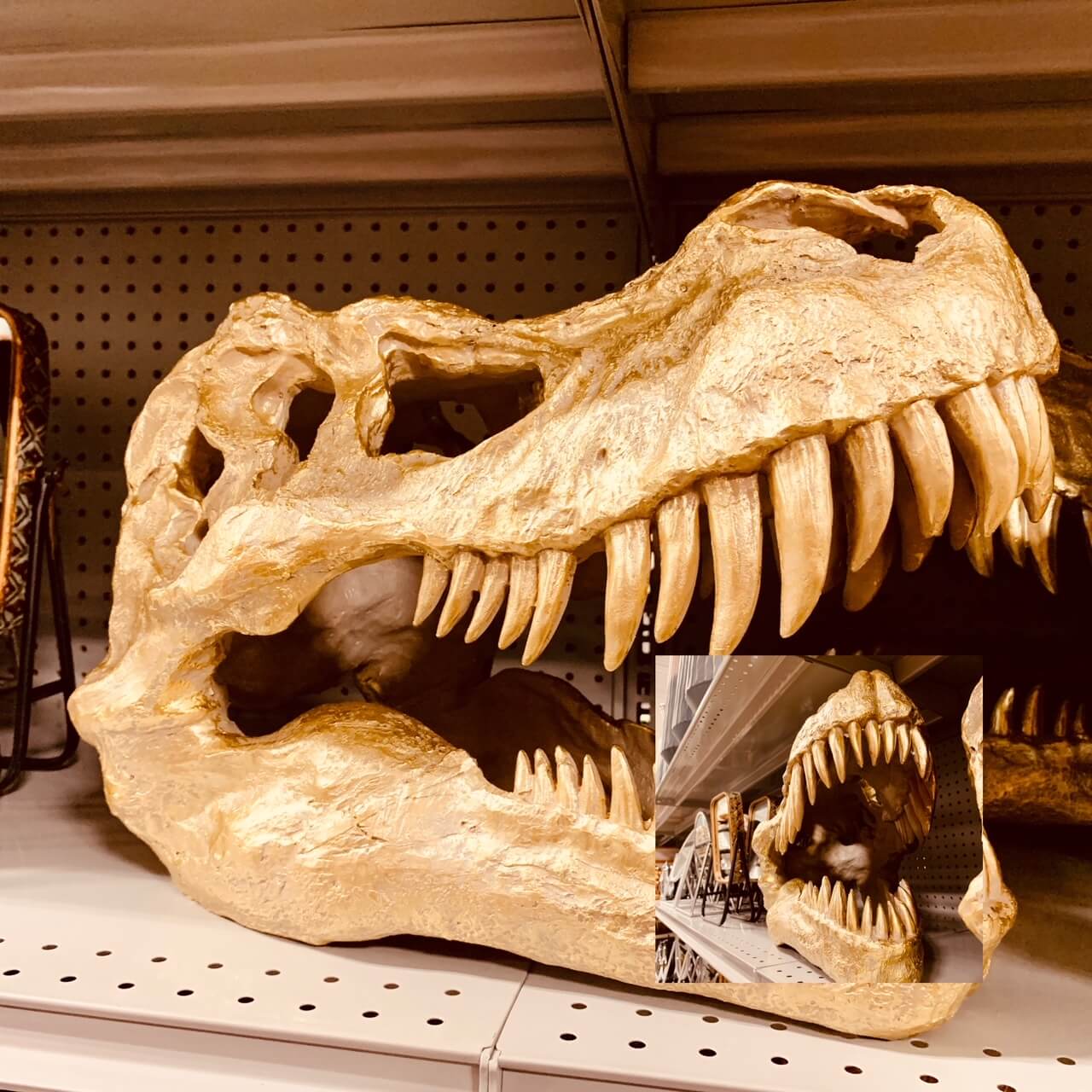 공룡-얼굴-이빨-모습