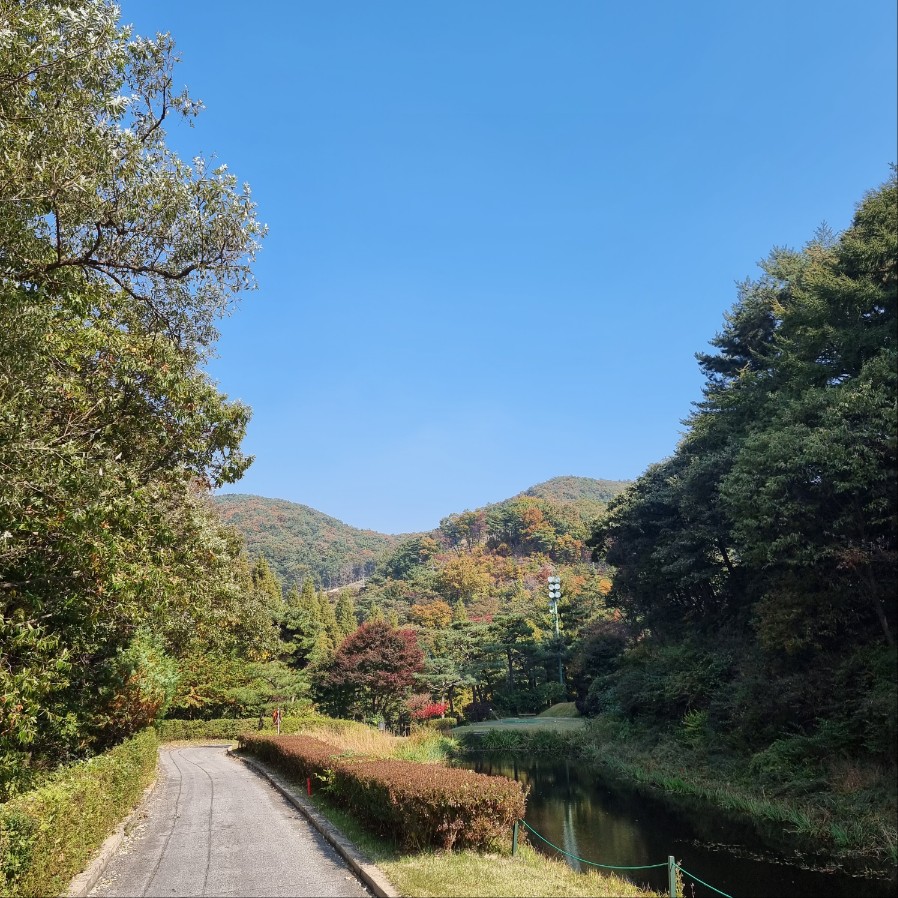 천룡CC 전경 2