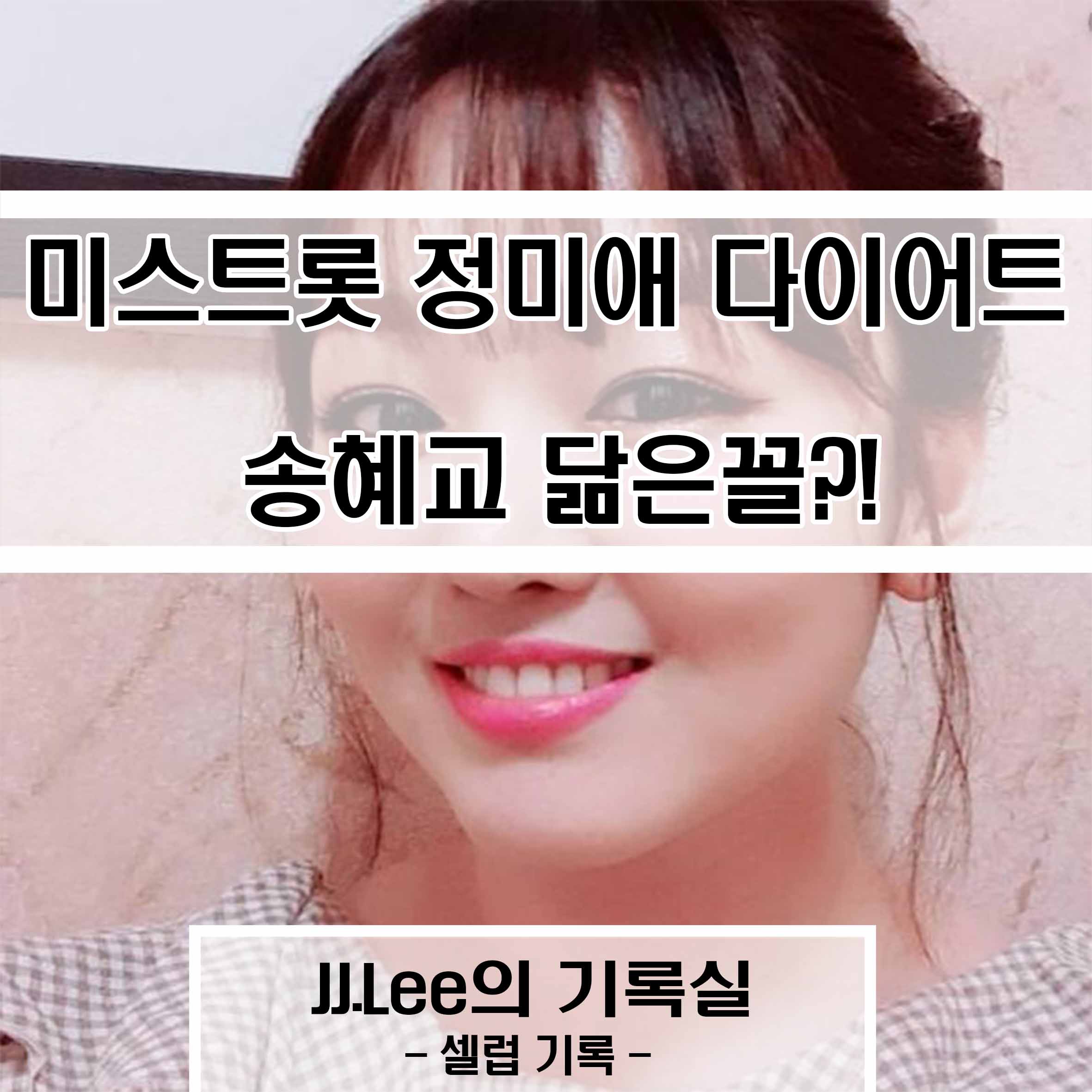 미스트롯 정미애 다이어트 송혜교 닮은꼴?!, JJ.Lee의 기록실, 셀럽 기록실