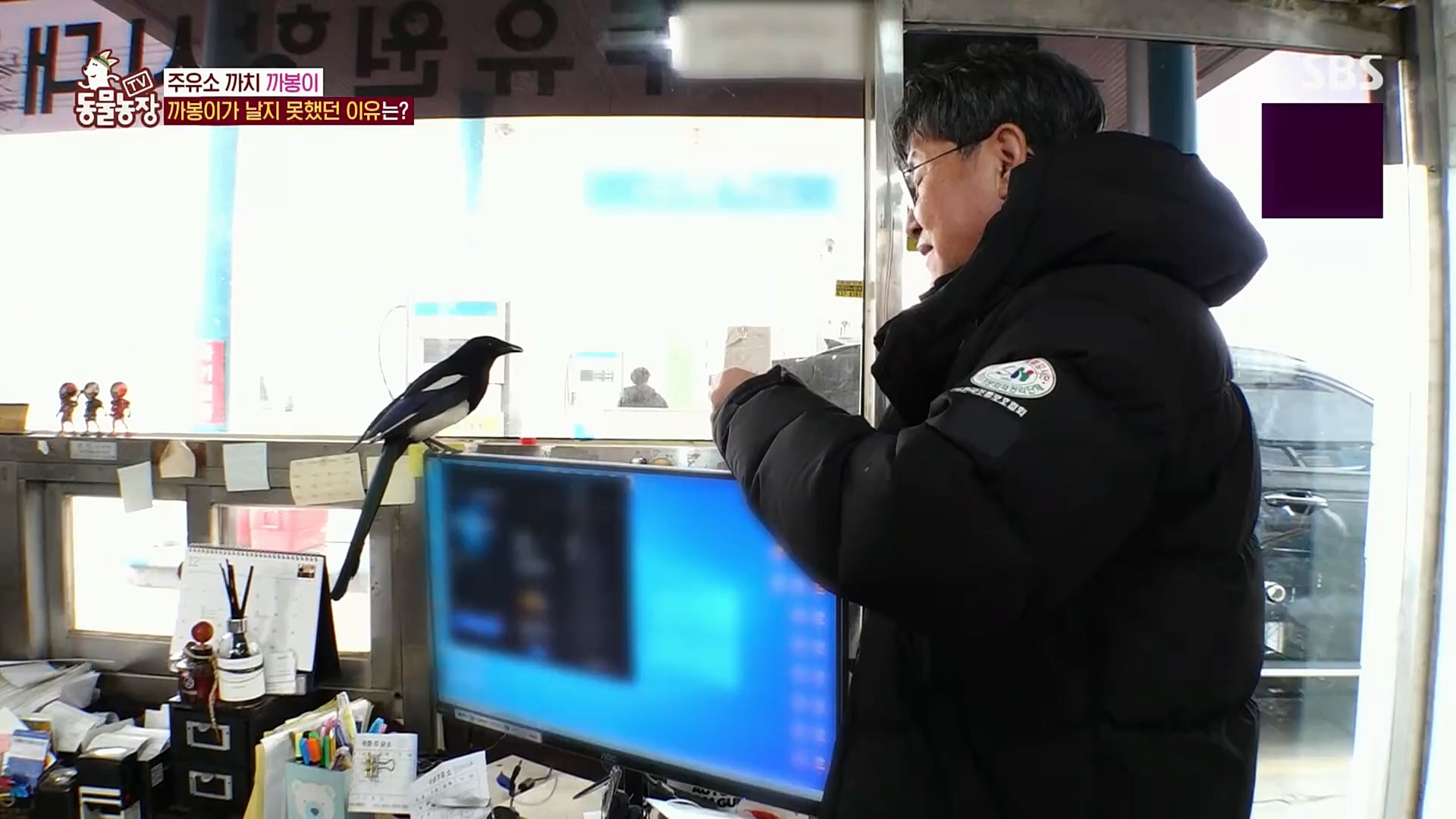TV 동물농장.E1102.230101p.H264-F1RST.mp4_20230101_182840.132.jpg