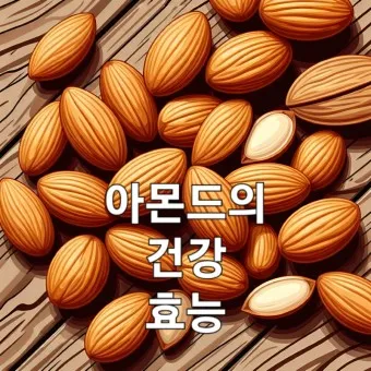 아몬드 효능 하루 섭취량 칼로리_6