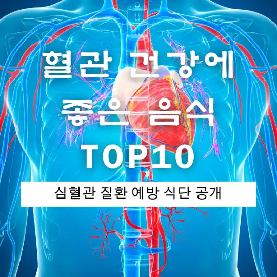 혈관 건강에 좋은 음식 TOP10