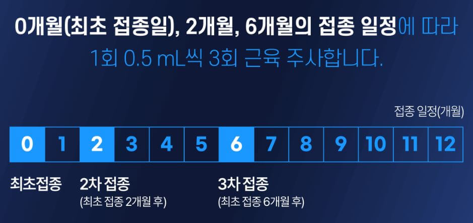 가다실9가-성인-접종주기