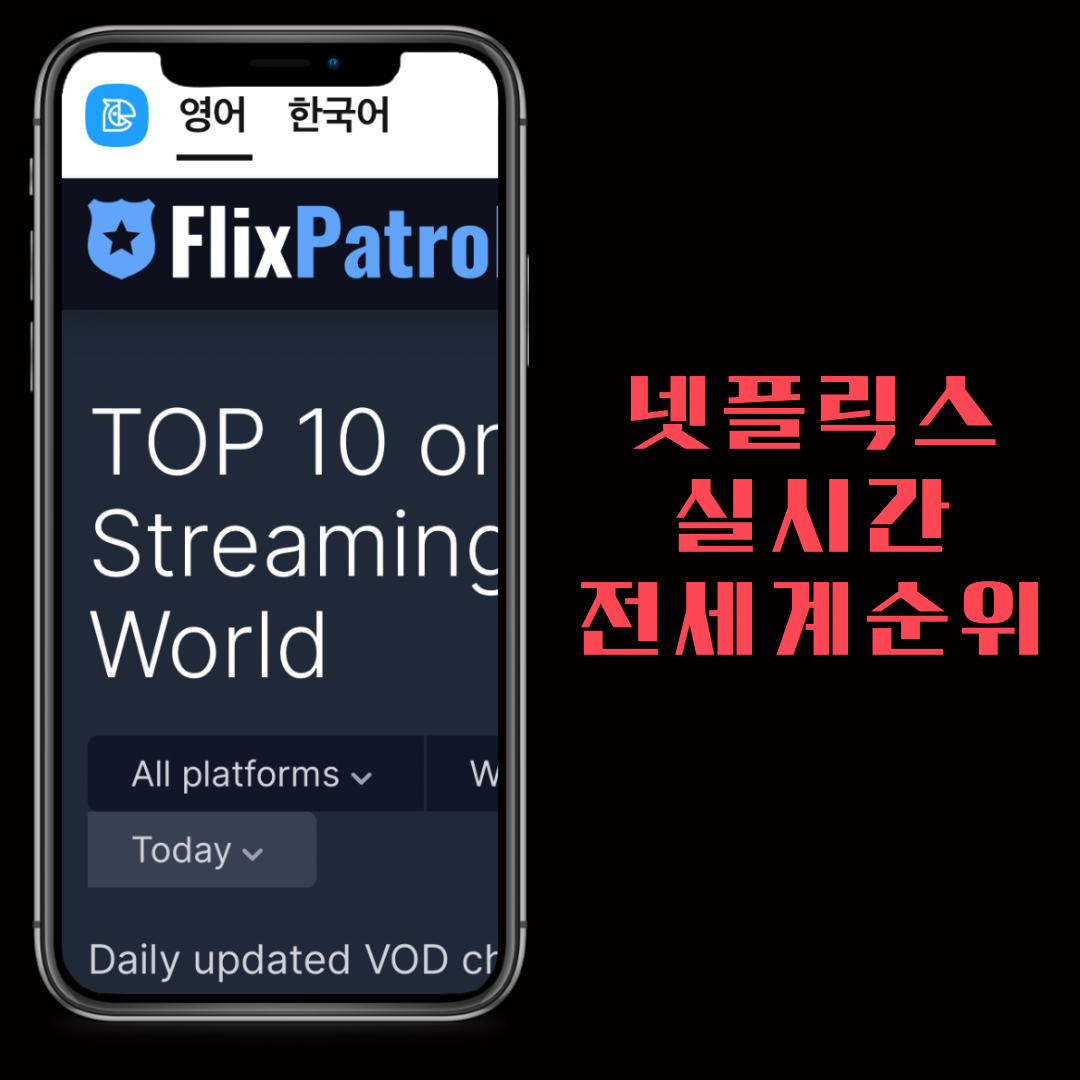  전세계 넷플릭스 스트리밍 순위 사이트