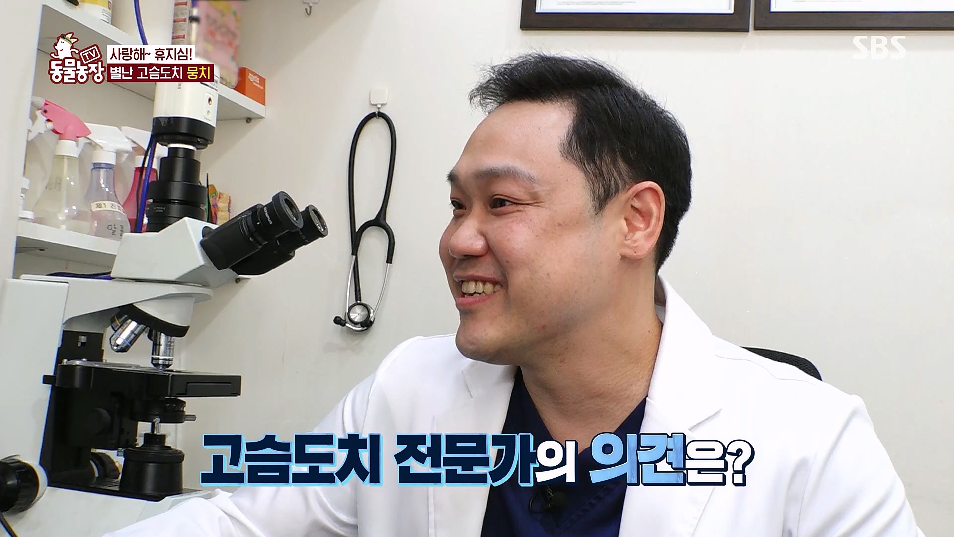 TV 동물농장.E1113.230326p.H264-F1RST.mp4_20230326_172505.914.jpg