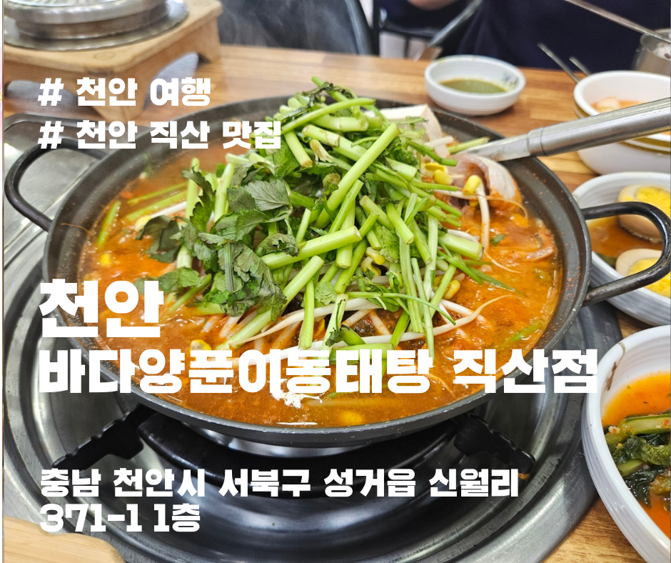 양푼이 동태탕 이미지