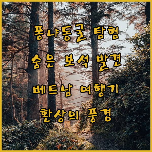 퐁냐 동굴 근처 숨겨진 보석들?! 베