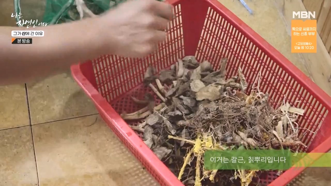 나는 자연인이다.E575.231012p-NEXT.mp4_20231012_201002.664.jpg