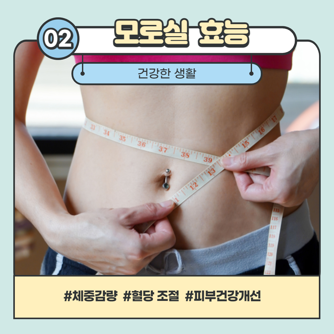 모로실 효능 다이어트 사진