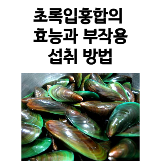 초록입홍합의 효능과 부작용 및 섭취 방법